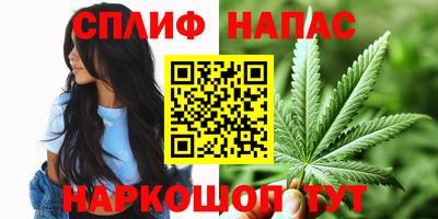 спайс Пугачёв