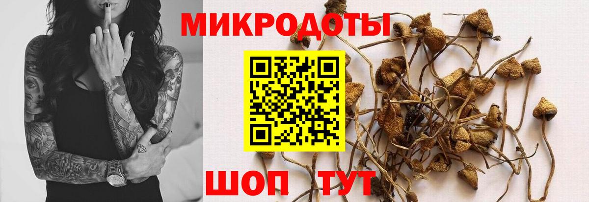 Галлюциногенные грибы мухоморы  купить наркотик  Отрадный  Вход с VPN 